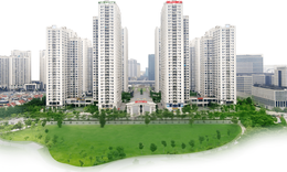 Quy mô phát hành trái phiếu của Geleximco lớn thế nào?