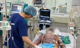 Liên tiếp 4 người mắc liên cầu lợn do ăn tiết canh, tiếp xúc lợn bệnh