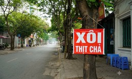 Từ 22/10/2026, cấm treo, gắn biển quảng cáo, biển hiệu lên cây xanh công cộng