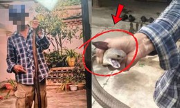 Người đàn ông 28 tuổi tử vong trong lúc chụp ảnh với rắn hổ mang