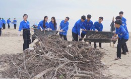 Hàng trăm người chung tay làm sạch bãi biển nổi tiếng của Quảng Trị