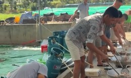 Dàn trai làng lắc chảo thoăn thoắt, nấu hàng trăm mâm cỗ cưới ở Phú Thọ