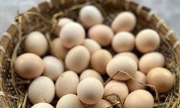 5 thực phẩm giảm ê buốt răng cho người sau tuổi 70