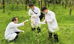 Những người đi trước hiểm họa...