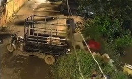 Người đàn ông đổ cả xe ba gác rác xuống kênh ở TP.HCM gây bức xúc