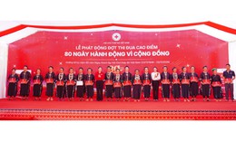 Biểu tượng Chữ thập đỏ ra đời từ đâu và vì sao có ý nghĩa đặc biệt?