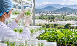 Khoa học công nghệ: Chìa khóa nâng giá trị dược liệu quý