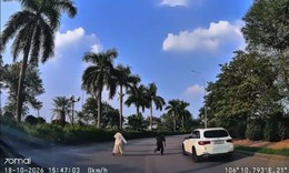 Khó hiểu cảnh người đàn ông liên tục nằm vật ra trước đầu ô tô