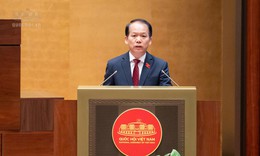 Đề xuất giao UBND cấp tỉnh quyết định chuyển nhượng dự án bất động sản