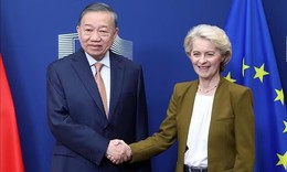 Bước phát triển tích cực trong quan hệ Việt Nam - EU