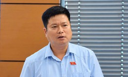 ĐBQH ủng hộ đánh thuế 0,2% đất bỏ hoang, tránh đầu cơ, găm giữ