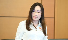 Gỡ vướng đấu thầu để bảo đảm nguồn cung thuốc, thiết bị y tế