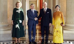 Tổng Bí thư, Chủ tịch nước Tô Lâm và Phu nhân hội kiến Nhà Vua Bỉ và Hoàng hậu