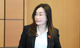ĐBQH: Không thể mặc nhiên quy trách nhiệm mọi vụ ngộ độc thực phẩm cho ngành y tế