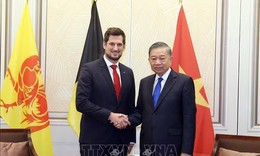 Tổng Bí thư, Chủ tịch nước Tô Lâm tiếp Bộ trưởng - Thủ hiến vùng Wallonie
