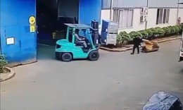 Thót tim cảnh kiện hàng từ xe nâng đổ trúng công nhân, một người tử vong