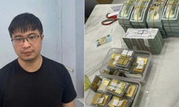 Hôm nay, xét xử Mr Pips, Shark Bình tại 3 điểm cầu