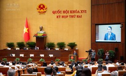 Đề xuất nâng mức phạt vi phạm hành chính lên 1,5 tỷ đồng với cá nhân