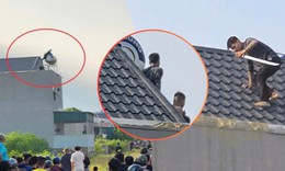 Hàng chục cảnh sát vây bắt hai người đàn ông cầm kiếm cố thủ trên nóc nhà
