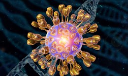 Virus ảnh hưởng đến 60% dân số thế giới chứa manh mối về nguy cơ mắc Alzheimer