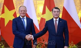 Thủ tướng Lê Minh Hưng hội đàm với Thủ tướng Ba Lan Donald Tusk