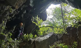 Hố sụt khổng lồ trong Vườn Quốc gia Phong Nha - Kẻ Bàng