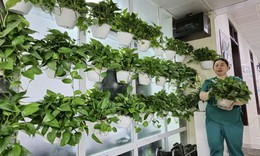 Thúc đẩy kinh tế xanh, kinh tế tuần hoàn trong bảo vệ môi trường