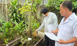 Diễn biến mới dịch sốt xuất huyết tại Thanh Hoá