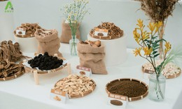 Anvitra - Bộ đôi hỗn dịch thảo dược Việt