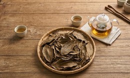 Làm trà lá ổi tại nhà: 5 sai sót dễ khiến lá bị mốc