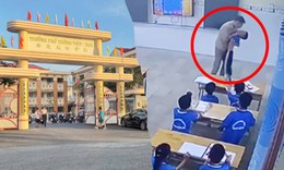 Chấm dứt hợp đồng với thầy giáo nước ngoài đánh học sinh lớp 2 ở Cần Thơ
