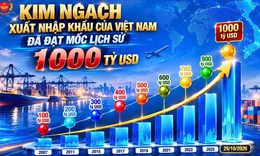 Cục Hải quan: Kim ngạch xuất nhập khẩu đạt mốc 1.000 tỷ USD