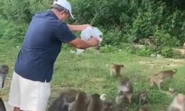 Người đàn ông cho khỉ ăn bất chấp biển cấm rồi thản nhiên vứt rác bừa bãi