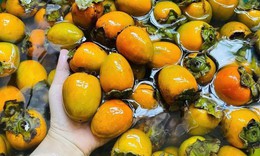 5 nhóm người nên thận trọng khi ăn quả hồng ngâm
