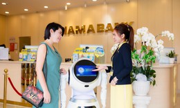 Hội sở Nam A Bank và chi nhánh Đắk Lắk bị yêu cầu chấn chỉnh cho vay