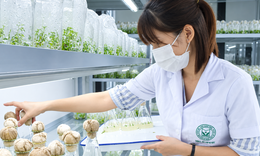 Ứng dụng công nghệ trong lưu trữ, quản lý dữ liệu tài nguyên dược liệu