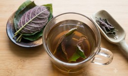 Cách dùng lá mơ lông cho người bị trào ngược dạ dày