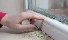 Nấm mốc trong nhà liên quan thế nào đến các triệu chứng hô hấp, dị ứng?