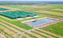 Thaco Agri bị xử lý vi phạm chứng khoán
