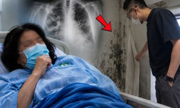 3 người cùng đổ bệnh khi ở nhà mới, 'thủ phạm' đáng sợ sau lớp dán tường