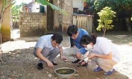 Ghi nhận 13 ca mắc sốt xuất huyết tại ổ dịch thôn Phố Thiều