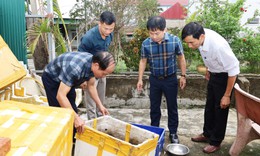 Hà Tĩnh ghi nhận ổ dịch sốt xuất huyết với 9 ca mắc