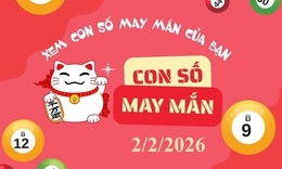 Con số may mắn hôm nay 2/2 - số cát lành - số tài lộc 12 con giáp