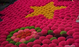 Sắc Tết rực rỡ tại làng hương Quảng Phú Cầu