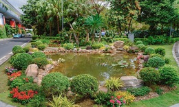 Nhà ga Quốc tế Đà Nẵng vận hành hồ cá sinh thái từ nước thải tái chế