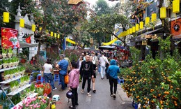 Miền Bắc rét và có mưa nhỏ nhiều ngày, Nam Bộ nắng chủ đạo