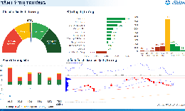 Xu hướng chứng khoán 13/2, tăng tỷ trọng cổ phiếu