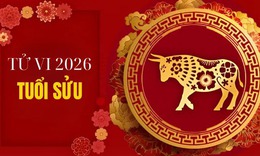 Tử vi tuổi Sửu 2026: Nhiều biến động và thử thách