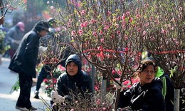 Miền Bắc tăng nhiệt, hửng nắng vào trưa chiều