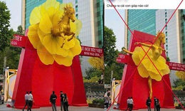 Đăng ảnh ‘ngựa mặc váy’ gây bão mạng, người đàn ông ở Đà Nẵng bị phạt 7,5 triệu đồng